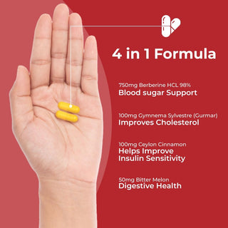 Rooted Berberine HCL 98% with Ceylon Cinnamon (Daalchini) 750mg Herbal Capsules for Metabolic Support, Liver Detox, Antioxidants – 60 Veg Caps