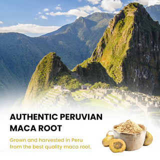 Peruvian Maca Root capsules for Energy, Hormonal Balance & Vitality