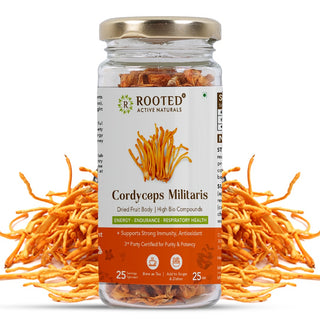 Cordyceps Militaris Dry for Natural Energy, Stamina & Lung Health