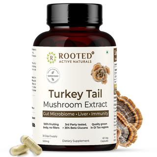 Turkey Tail Mushroom Extract Capsules for Immunity, Gut Health & Cellular Support