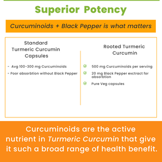 Turmeric Curcumin 95% with Black pepper extract (500 mg  Capsules)