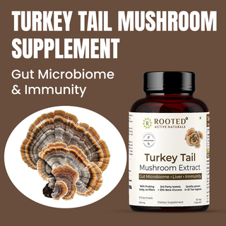 Turkey Tail Mushroom Extract Capsules for Immunity, Gut Health & Cellular Support