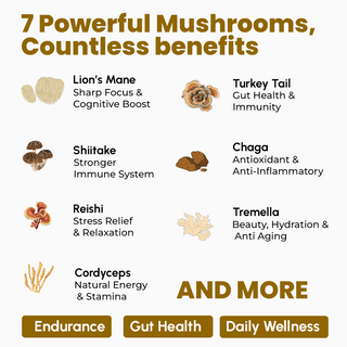 7 Mushroom Complex Powder for Heart, Liver, Gut, Energy & Immunity
