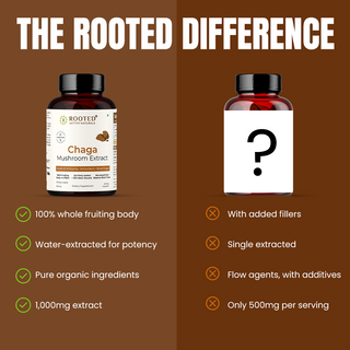 Siberian Chaga Mushroom Capsules for Immunity, Antioxidant Support & Daily Vitality