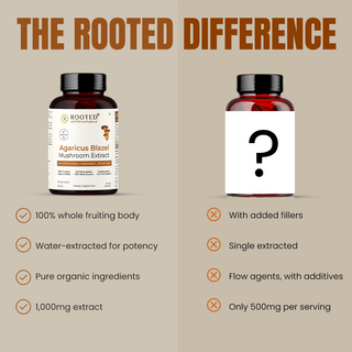 Agaricus Blazei Extract Capsule for Inflammation, Blood Sugar Balance & Antioxidant Support