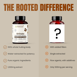 Shiitake Mushroom Extract Capsules for Immunity, Heart Health & Cholesterol Support