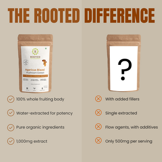 Agaricus Blazei Extract Powder for Inflammation, Blood Sugar Support & Antioxidant Defense