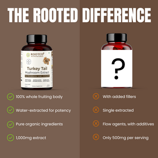 Turkey Tail Mushroom Extract Capsules for Immunity, Gut Health & Cellular Support