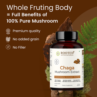 Siberian Chaga Mushroom Capsules for Immunity, Antioxidant Support & Daily Vitality
