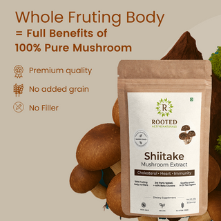 Shiitake Mushroom Extract Powder for Immunity, Heart Health & Antioxidant Support