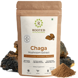 Siberian Chaga Powder for Immunity, Antioxidant Support & Daily Vitality
