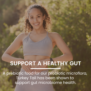 Turkey Tail Mushroom Extract Capsules for Immunity, Gut Health & Cellular Support