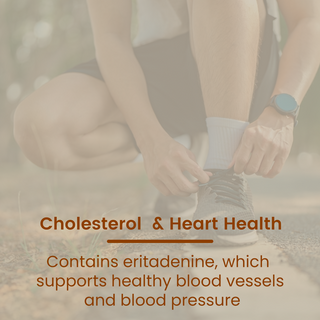 Shiitake Mushroom Extract Capsules for Immunity, Heart Health & Cholesterol Support
