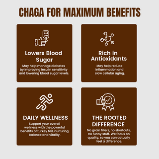Siberian Chaga Mushroom Capsules for Immunity, Antioxidant Support & Daily Vitality