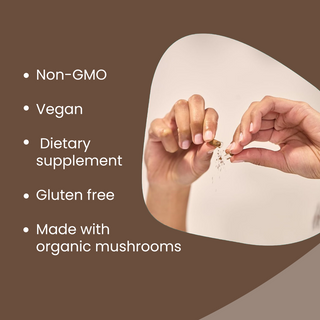 Turkey Tail Mushroom Extract Capsules for Immunity, Gut Health & Cellular Support