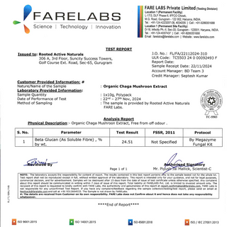 Siberian Chaga Mushroom Capsules for Immunity, Antioxidant Support & Daily Vitality