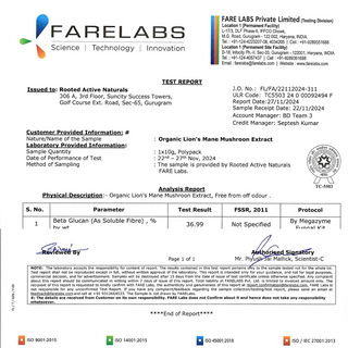 Lions Mane mushroom Extract (60 g) | Memory, Focus, Brain Powder & Nerve Health, 38% Beta Glucans