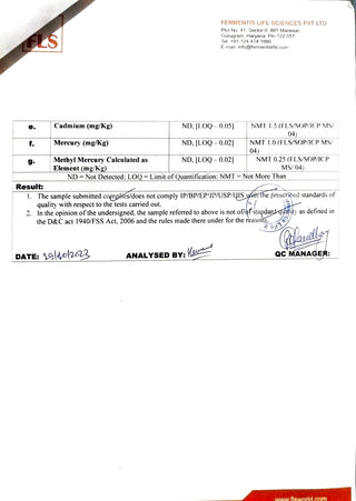 Plant Protein – 24gm Protein - Pea, Mushrooms, Spirulina & Probiotics