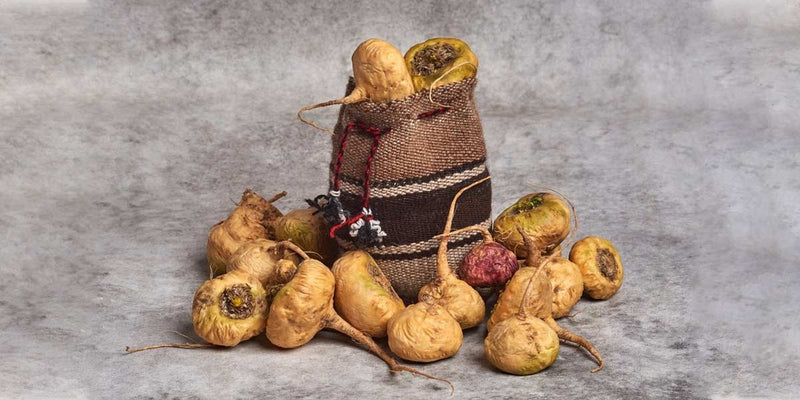 Maca Root: A Natural & Safe Superfood Supplement for Performance