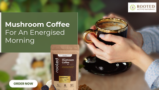 Mushroom Coffee For An Energised Morning