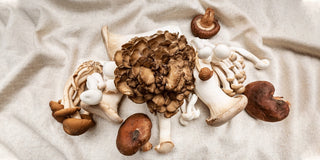 Medicinal Mushrooms- for a Refreshed And Healthy Lifestyle