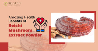 Amazing Health Benefits of Reishi Mushroom Extract Powder
