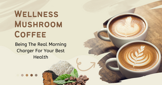 Wellness Mushroom Coffee Being The Real Morning Charger For Your Best Health