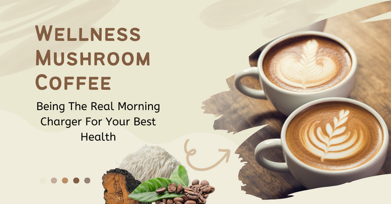 Wellness Mushroom Coffee Being The Real Morning Charger For Your Best Health