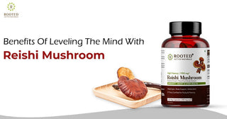 Benefits Of Leveling The Mind With Reishi Mushroom