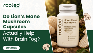 Do Lion’s Mane Mushroom Capsules Actually Help With Brain Fog?