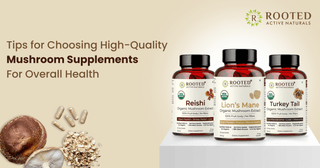 5 Tips for Choosing High-Quality Mushroom Supplements For Overall Health