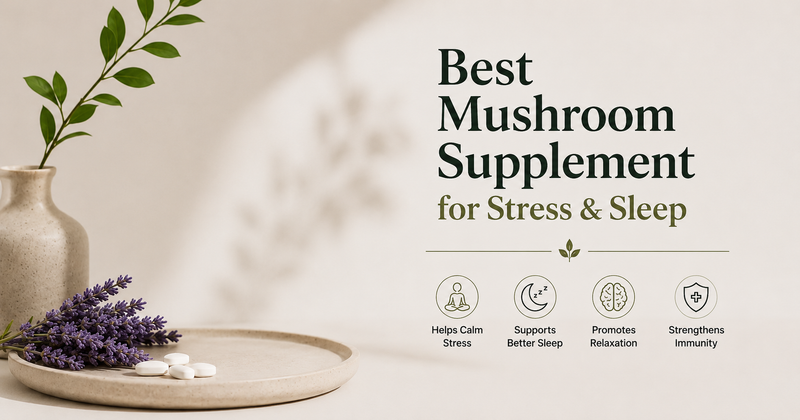 Best Mushroom Supplement for Stress & Sleep