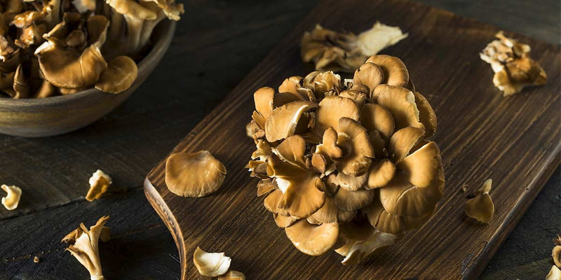 Top 4 Benefits of Maitake Mushrooms for Women which you might not know