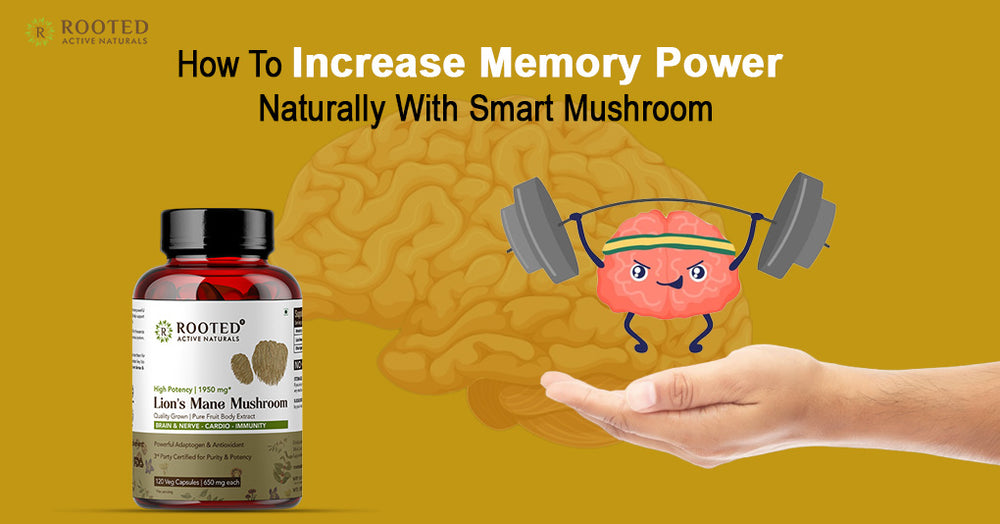 How To Increase Memory Power Naturally With Smart Mushroom Rooted Active Naturals