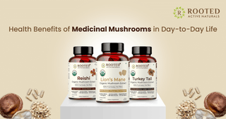 5 Medicinal Mushrooms with Impressive Health Benefits