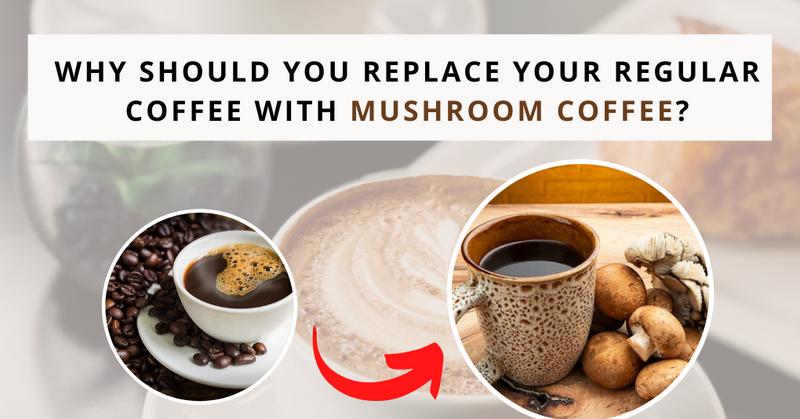 Reasons to Replace Your Regular coffee with Mushroom Coffee