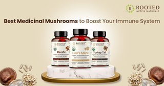 5 Best Medicinal Mushrooms to Boost Your Immune System