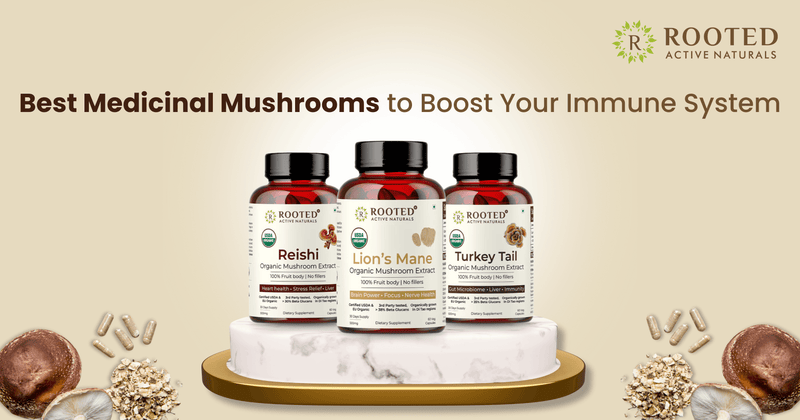 5 Best Medicinal Mushrooms to Boost Your Immune System