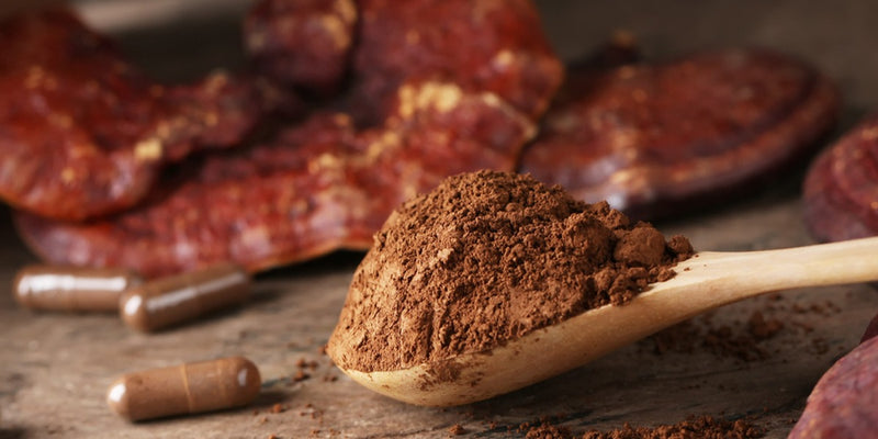 Mushroom Powder: The Multifaceted Superfood