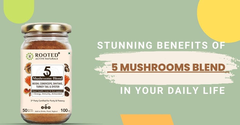 Stunning Benefits Of 5 Mushrooms Blend In Your Daily Life