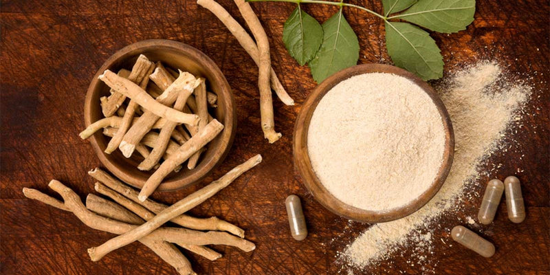 Get the Best Quality Ashwagandha Powder Extract: 5 Important Buying Tips