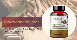 Ashwagandha Root: The Greatest All-Rounder For The Best Of The Body