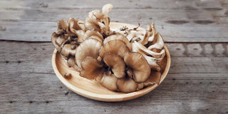 5 Surprising Maitake Mushroom Benefits you might not aware of
