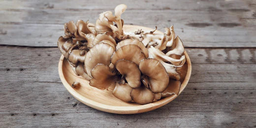 5 Surprising Maitake Mushroom Benefits you might not aware of
