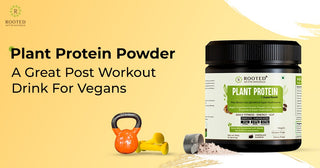 Plant Protein Powder: A Great Post Workout Drink For Vegans