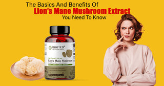 The Basics And Benefits Of Lion’s Mane Mushroom Extract You Need To Know