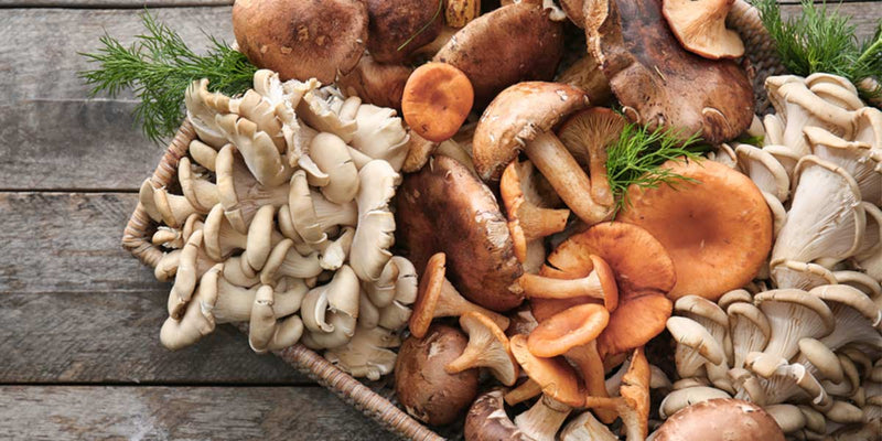 What Makes Medicinal Mushrooms Original & Natural Superfood
