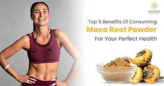Top 5 Benefits Of Consuming Maca Root Powder For Your Perfect Health