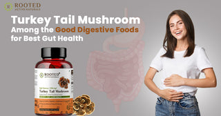 Turkey Tail Mushroom- Among the Good Digestive Foods for Best Gut Health