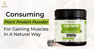 Consuming Plant Protein Powder For Gaining Muscles In A Natural Way